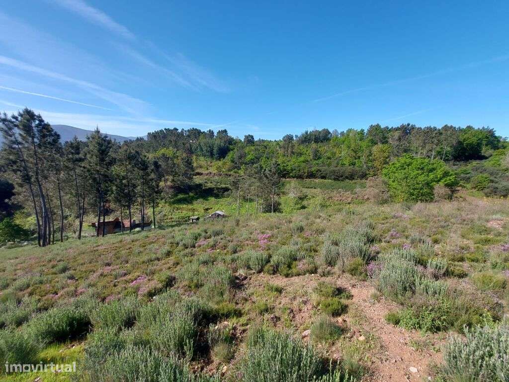 Venda Terreno - Grande imagem: 4/11