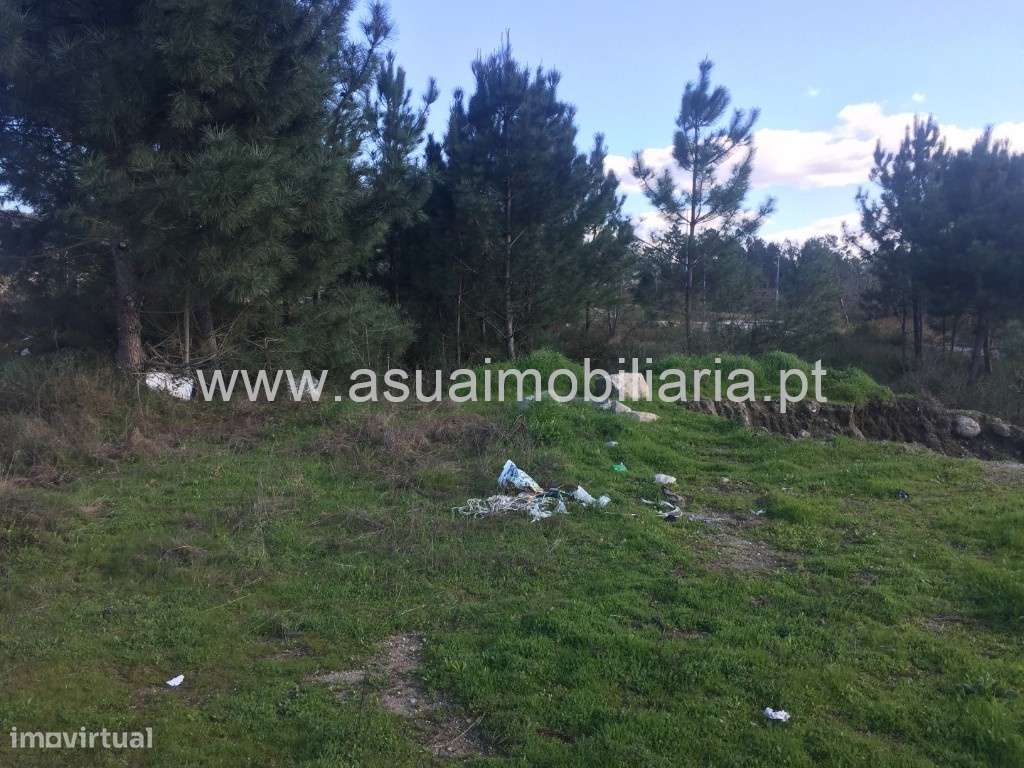 Lote Industrial - Monsul - Grande imagem: 4/4