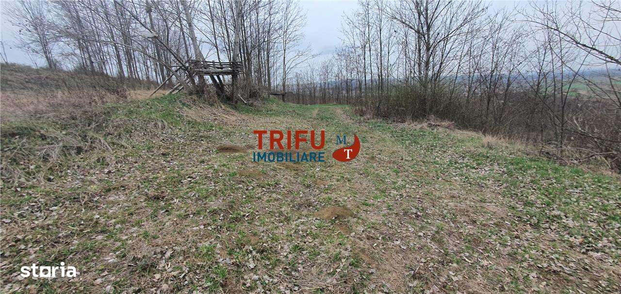 Teren de vanzare zona Ciugud - Imagine principală: 5/12