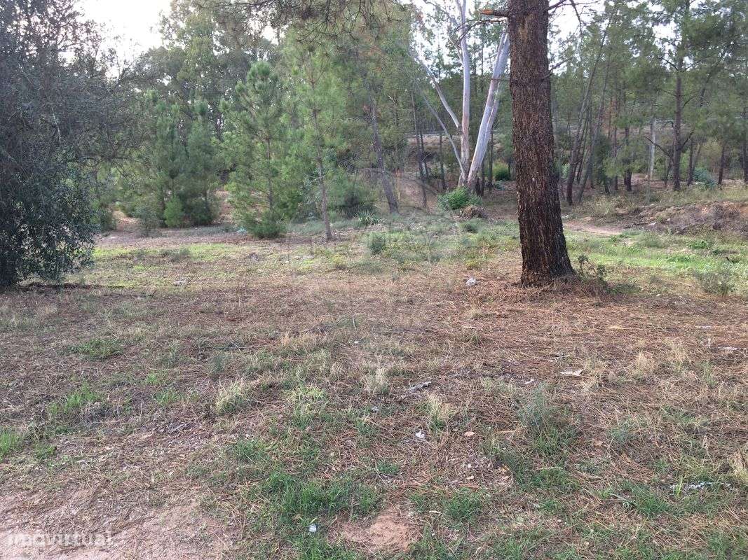 Terreno  para venda - Grande imagem: 2/6