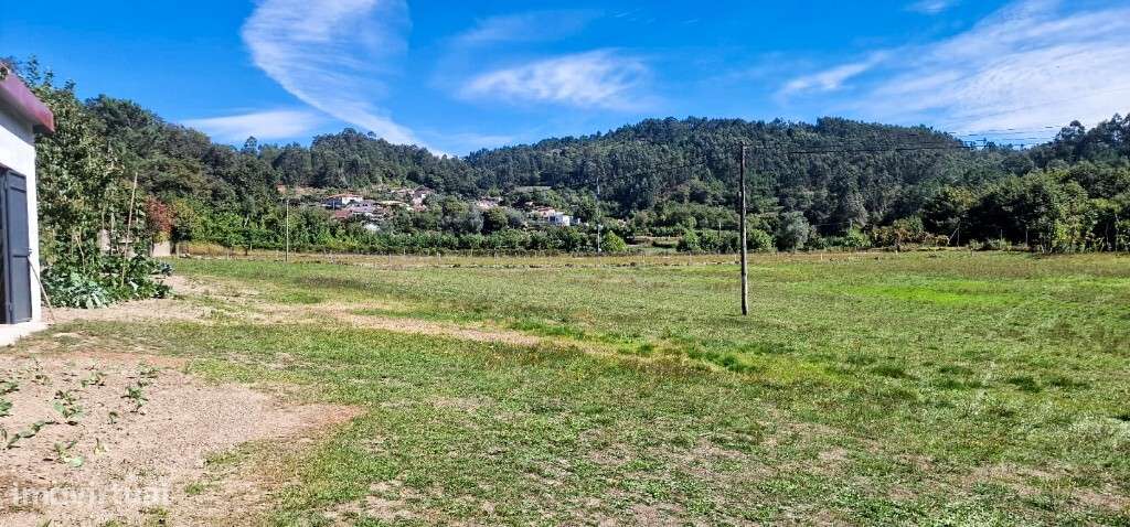 Terreno agrícola - Pinheiro - Grande imagem: 5/19