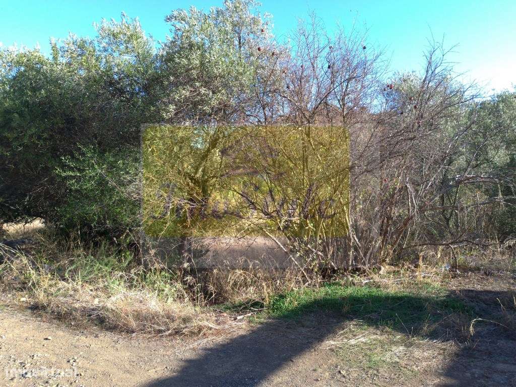 Terreno rustico em Guerreiros do Rio - Grande imagem: 4/9