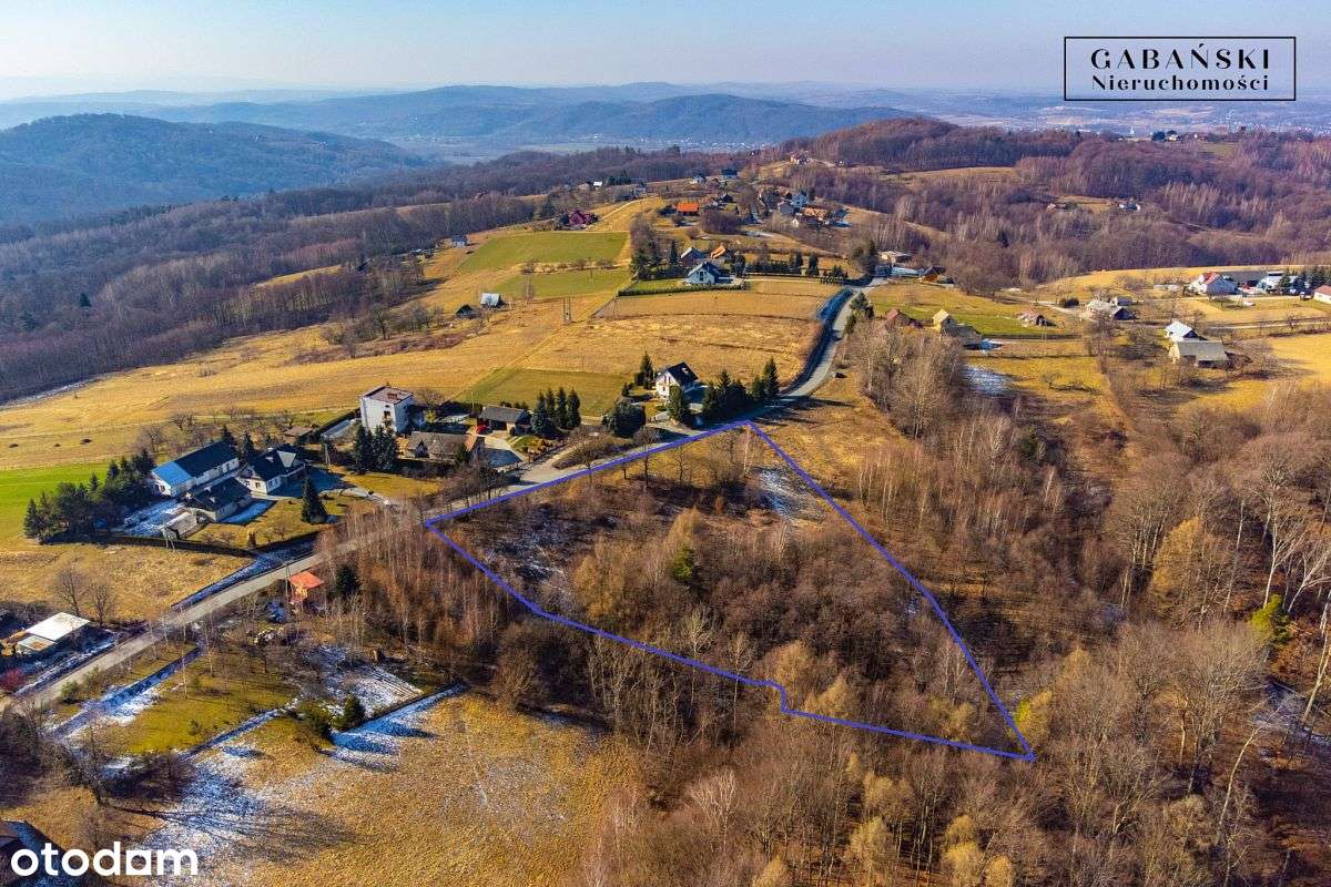 Działka budowlana  w Dąbrówce Szczepanowskiej - Pełny obrazek: 5/10