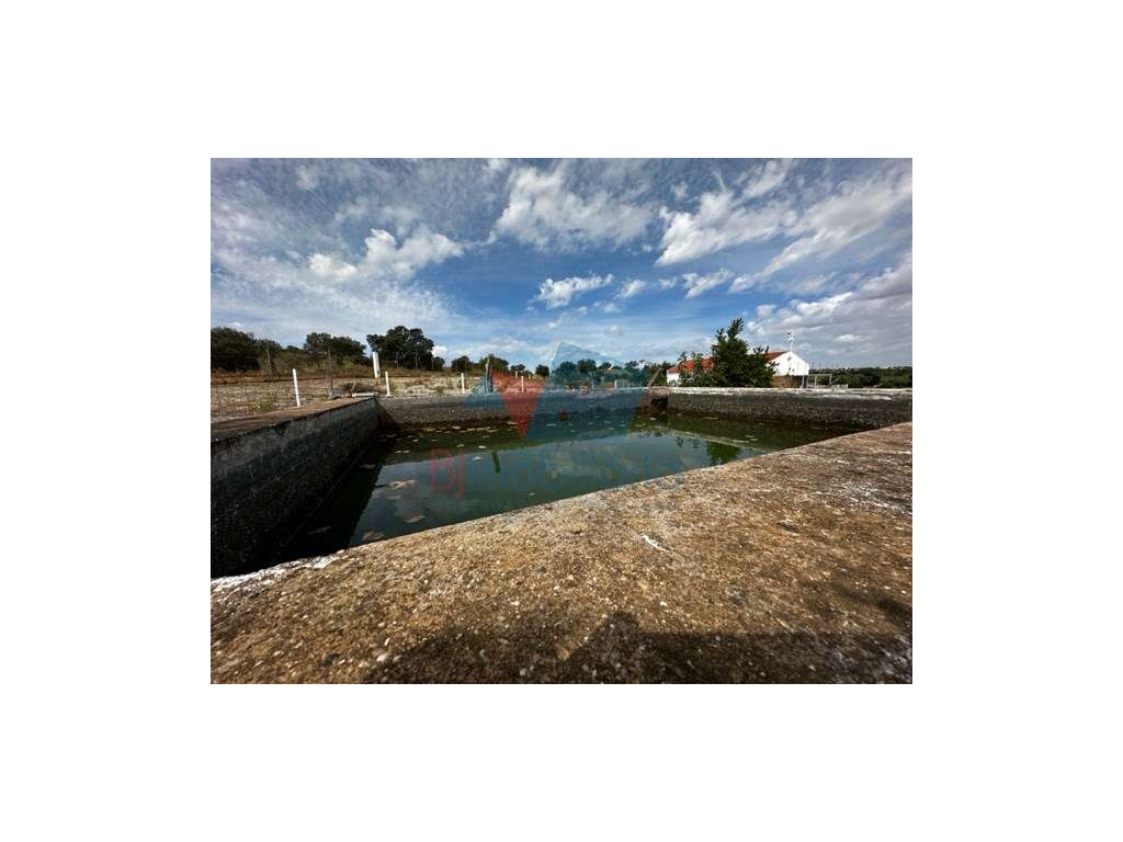 Monte para reabilitar-1