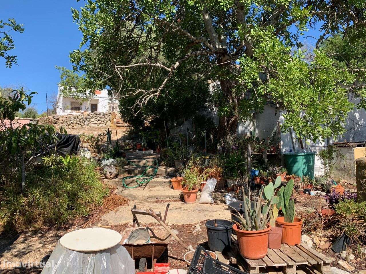 Terreno Urbano, com 3 artigos, Colmeal - Grande imagem: 5/60