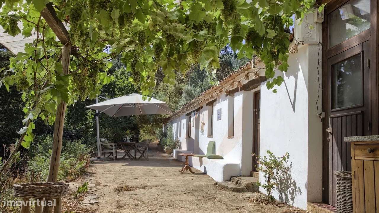 Quintinha do Pomar Velho - Grande imagem: 4/36