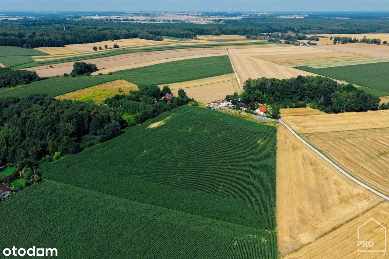 Działki na sprzedaż, powierzchnie od 626 do 813 m-5