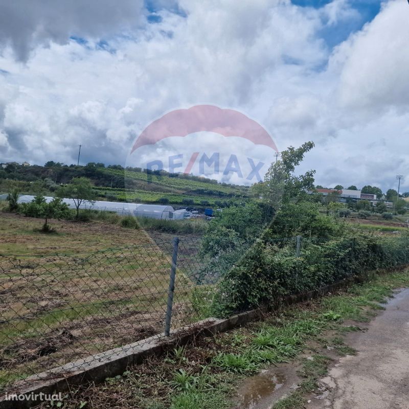 Terreno  para venda