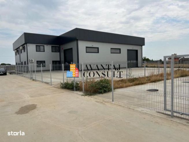 Domnesti Vanzare hala noua-4