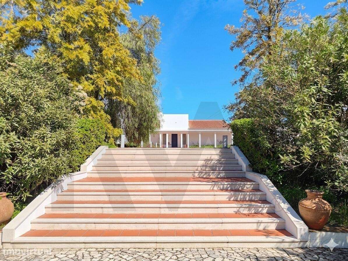 Quinta Urbana T4 em Évora | A 2 min do Hospital | 10.000 m2 | Poss. Co - Grande imagem: 5/47