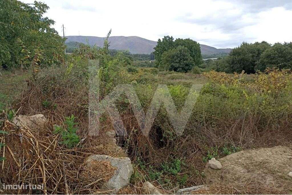 Terreno agrícola em Carvalhais, São Pedro do Sul - Grande imagem: 5/9