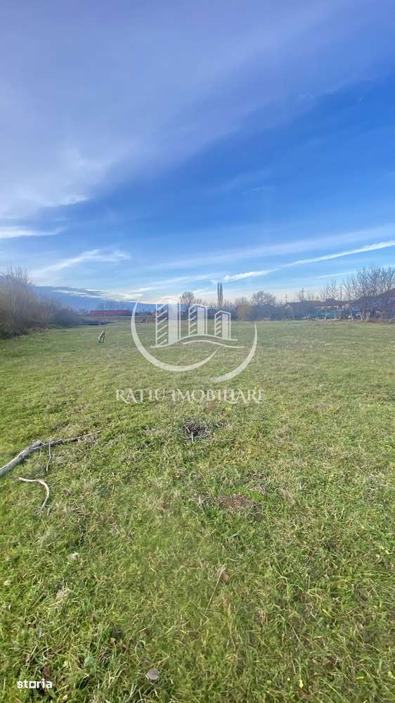 EXCLUSIV | TEREN INTRAVILAN | INVESTIȚIE | BEIUȘ – STR. PLOPILOR | 13. - Imagine principală: 5/8