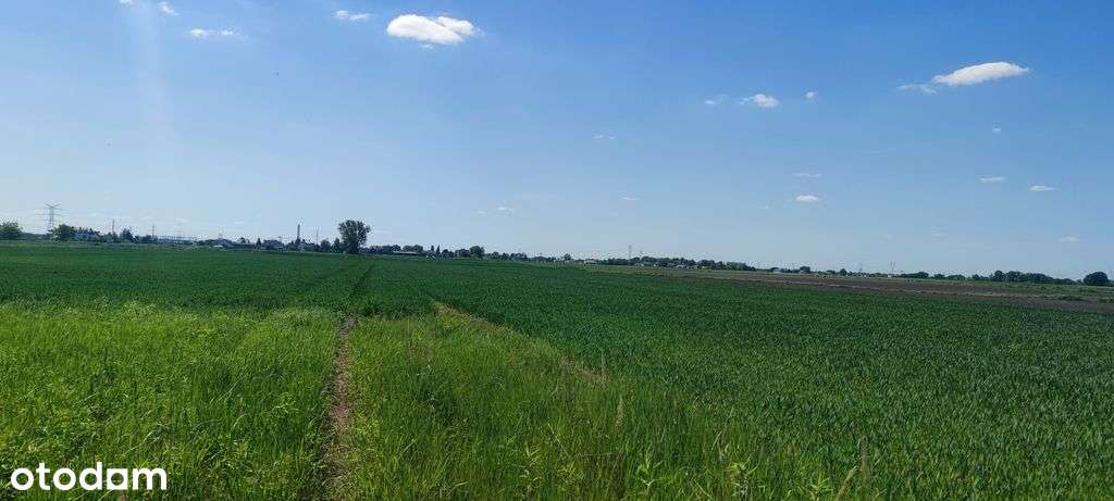 Borzęcin Duży działka budowlana blisko centrum.-6