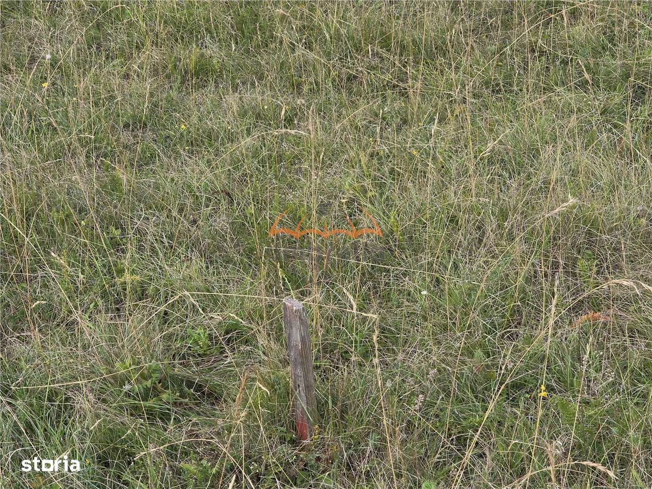 Teren de vanzare in Cluj-Napoca  Str. Soporului, intravilan, 1.380m² - Imagine principală: 4/9