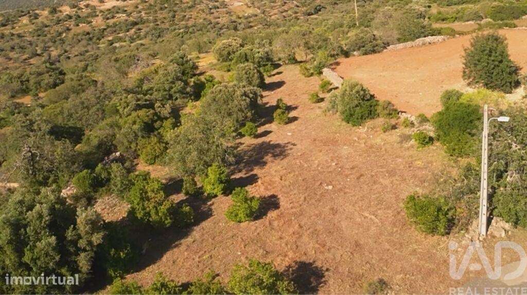 Terreno em Conceição e Estoi de 1840,00 m2 - Grande imagem: 3/6