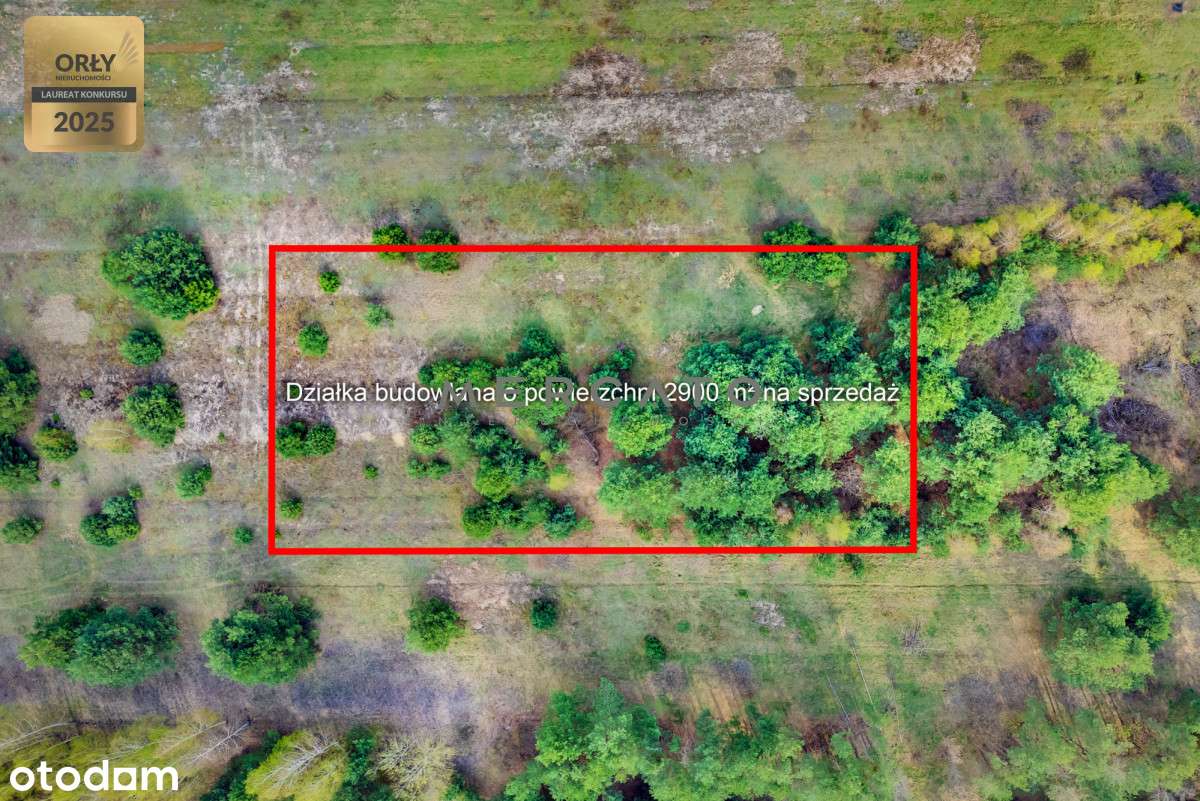 Działka Regut 2900 m2 - Pełny obrazek: 5/13