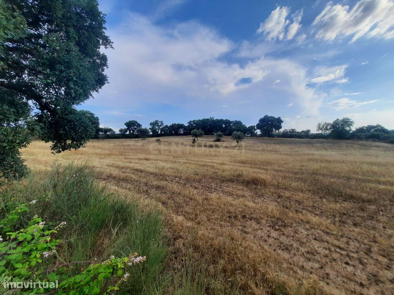 Terreno em São Miguel D Acha - Grande imagem: 5/18