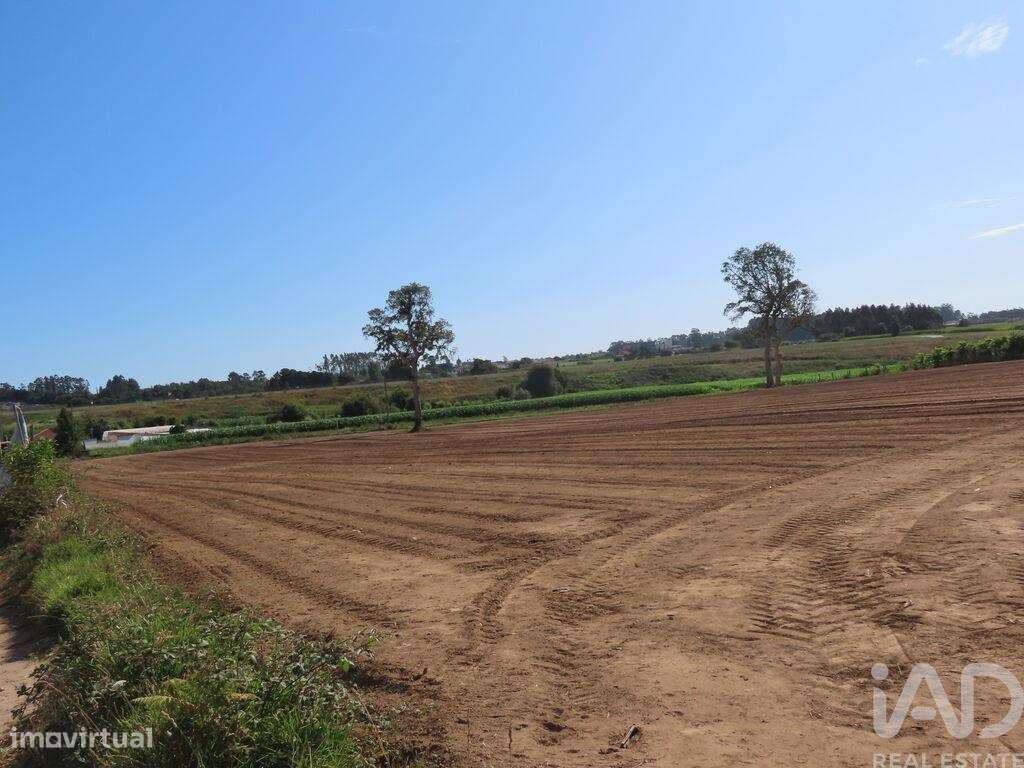Terreno para construção em Aveleda de 21000,00 m2 - Grande imagem: 4/30
