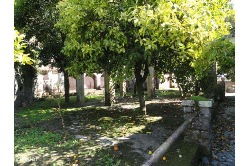 Quintinha T3 com Jardim - Grande imagem: 2/11