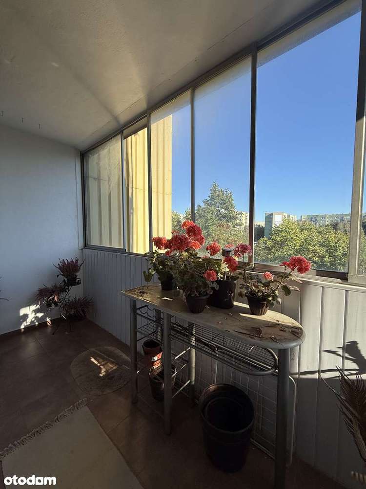 Mieszkanie INWESTYCYJNE, widok na ZIELEŃ - Pełny obrazek: 2/9