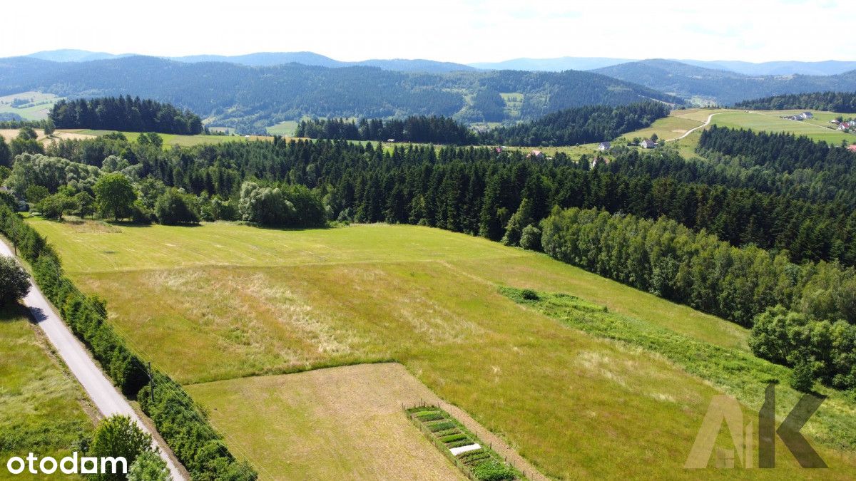 Działka inwestycyjna pod dom weselny - Mszalnica