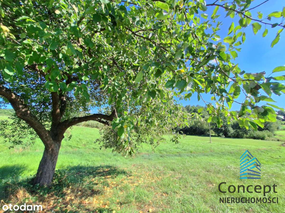 Królówka - działka budowlana - Pełny obrazek: 5/8