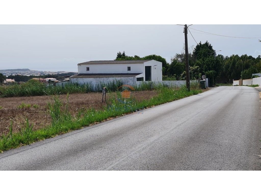 Terreno agrícola 20.000 m2 | Póvoa de Penafirme