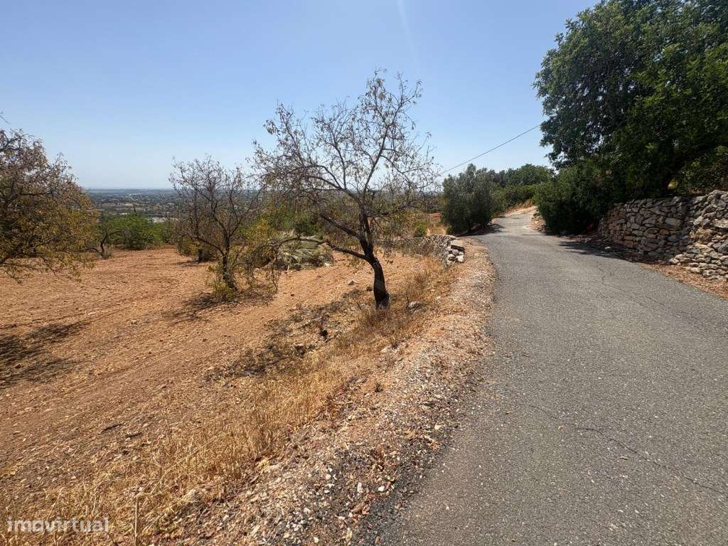 Terreno Rústico na Alfarrobeira, Loulé, Algarve - Grande imagem: 5/17