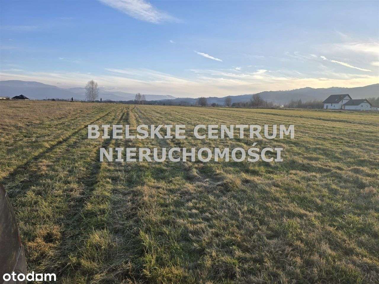 Działka, 10 300 m², Lipowa-5