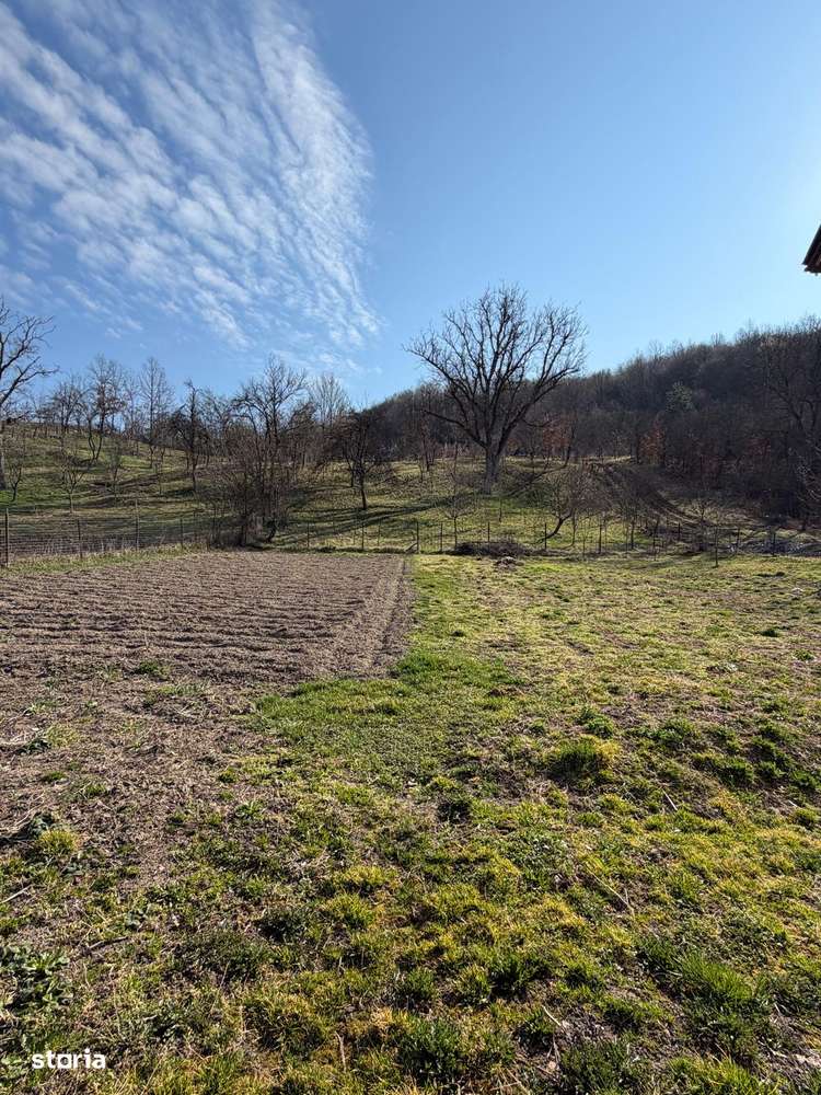 Comision 0% I Casa individuala I Teren de 3252 mp I Arghis-15