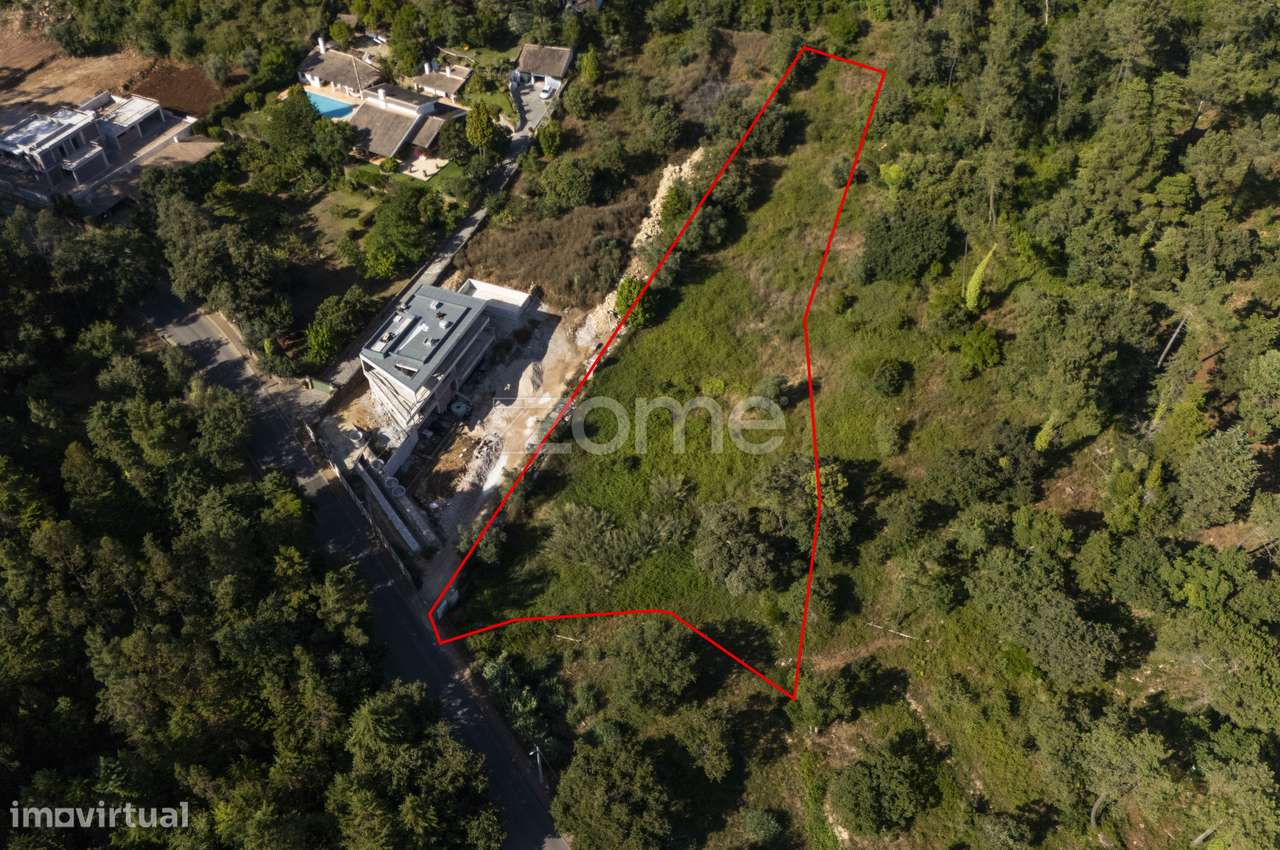 Terreno Urbano com 7.030 m² – Roçadas, Coimbra - Grande imagem: 4/21