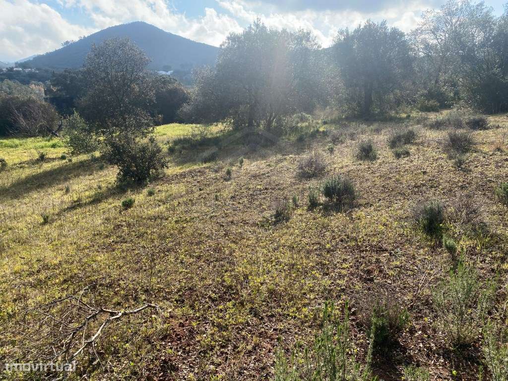 Lote de terreno rústico, com 3.130m2, Loulé, Algarve - Grande imagem: 3/22