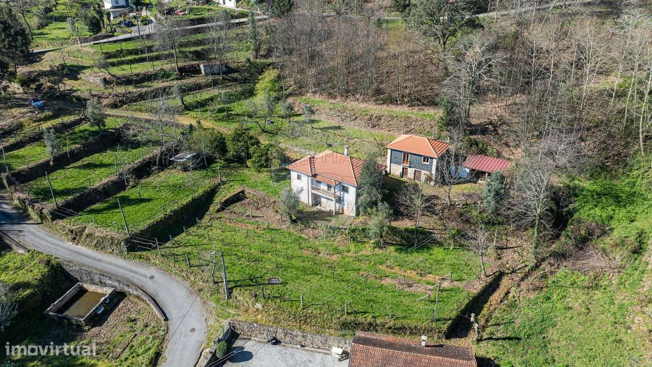 Quinta T5 para venda - Grande imagem: 4/47