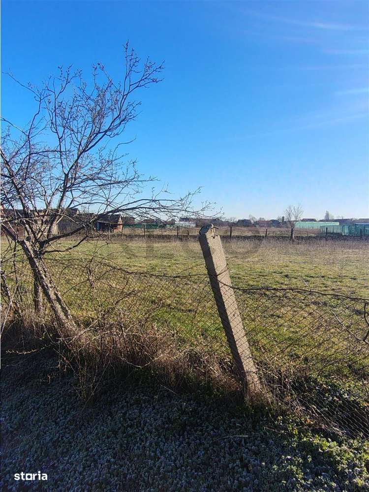 RECO Teren  intravilan in Cefa - Imagine principală: 5/5