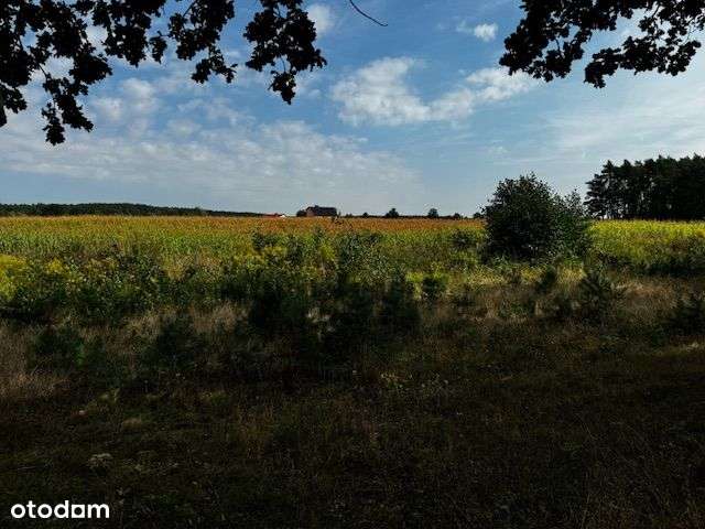Działki budowlane - Pełny obrazek: 5/6