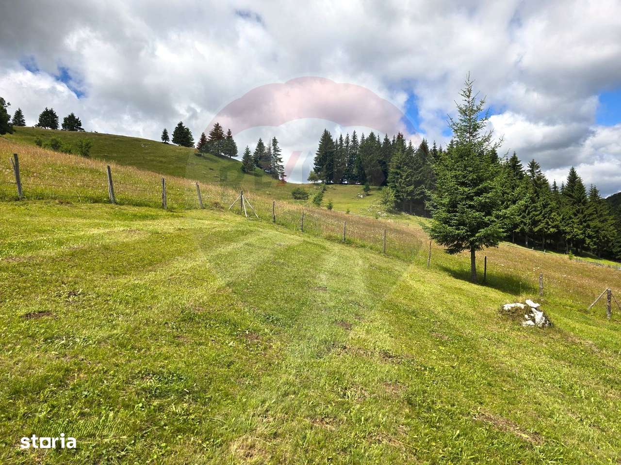 Teren de vis în Fundata 3700mp, la înălțimea sufletului tău - Imagine principală: 5/20