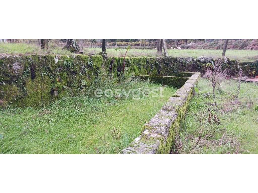 Espetacular terreno com edifício de apoio agrícola-Viseu Portugal - Grande imagem: 5/19