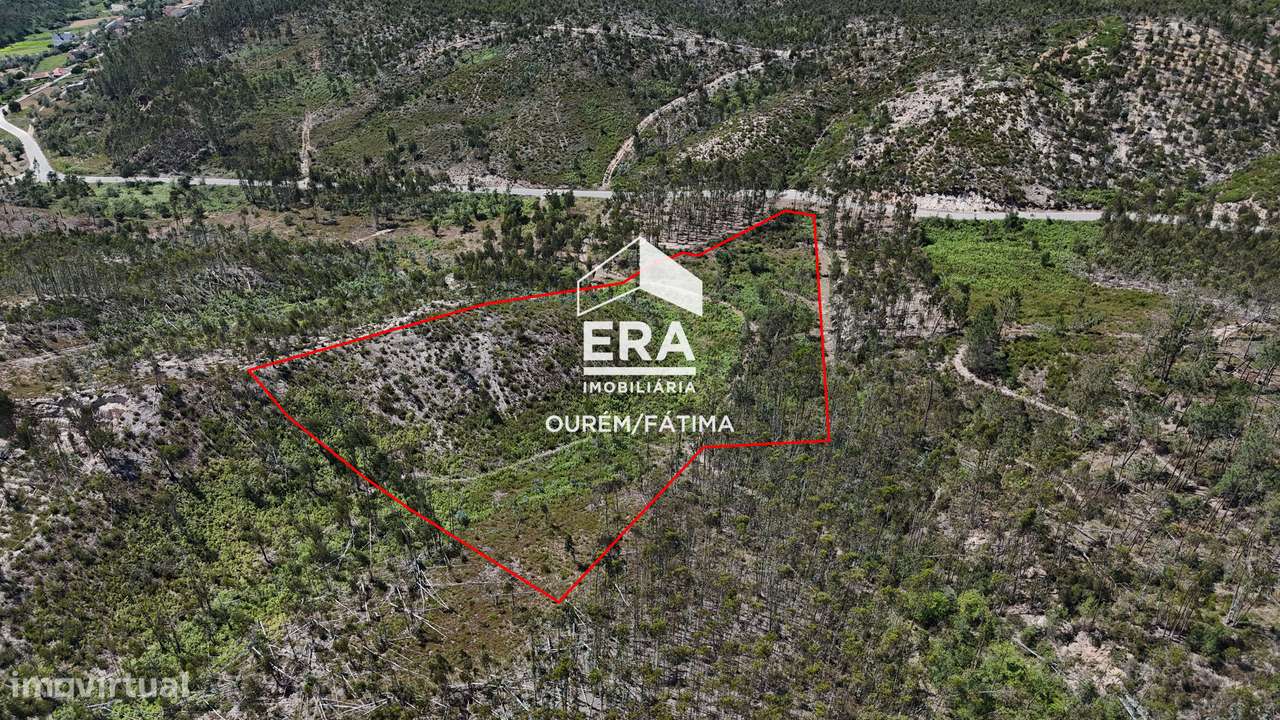 Terreno Florestal em Matas, Ourém-10