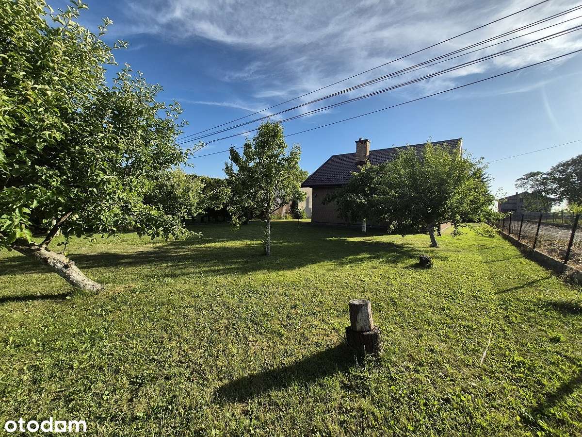 ŻABNO  dwa budynki na 13 arach, dom z widokiem na las - Pełny obrazek: 4/20