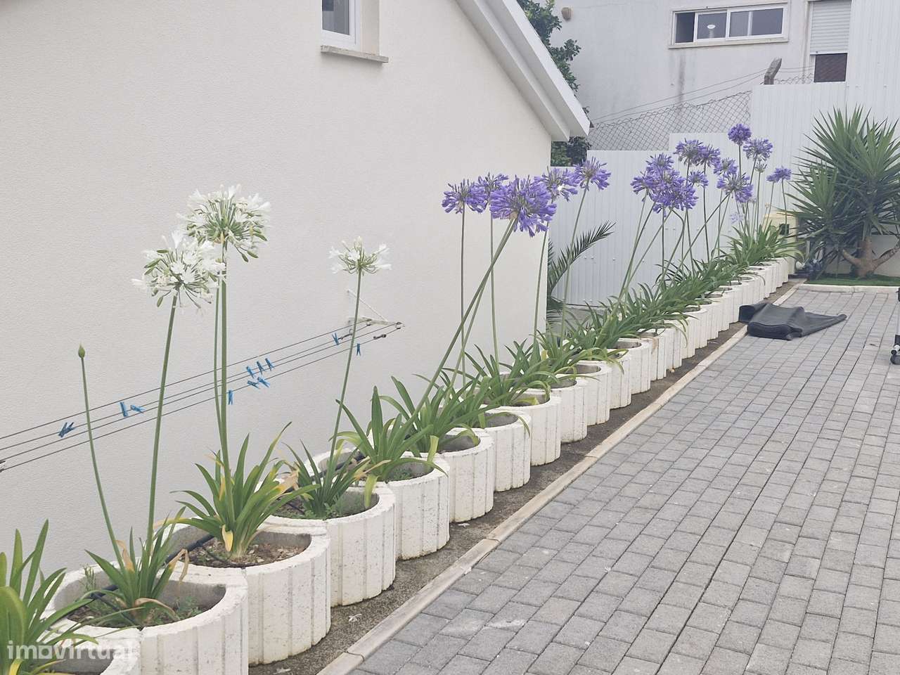 Moradia T6 remodelada com piscina aquecida e ampla zona de lazer - Grande imagem: 5/21