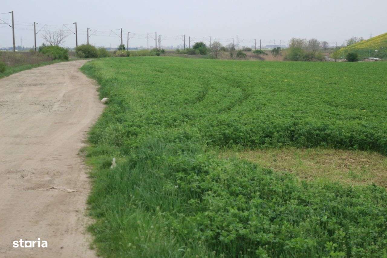 Teren industrial Arad zona CET - Imagine principală: 4/9