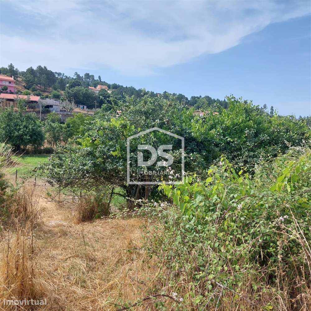 Lote de Terreno  Venda em Juncais, Vila Ruiva e Vila Soeiro do Chão,Fo-22