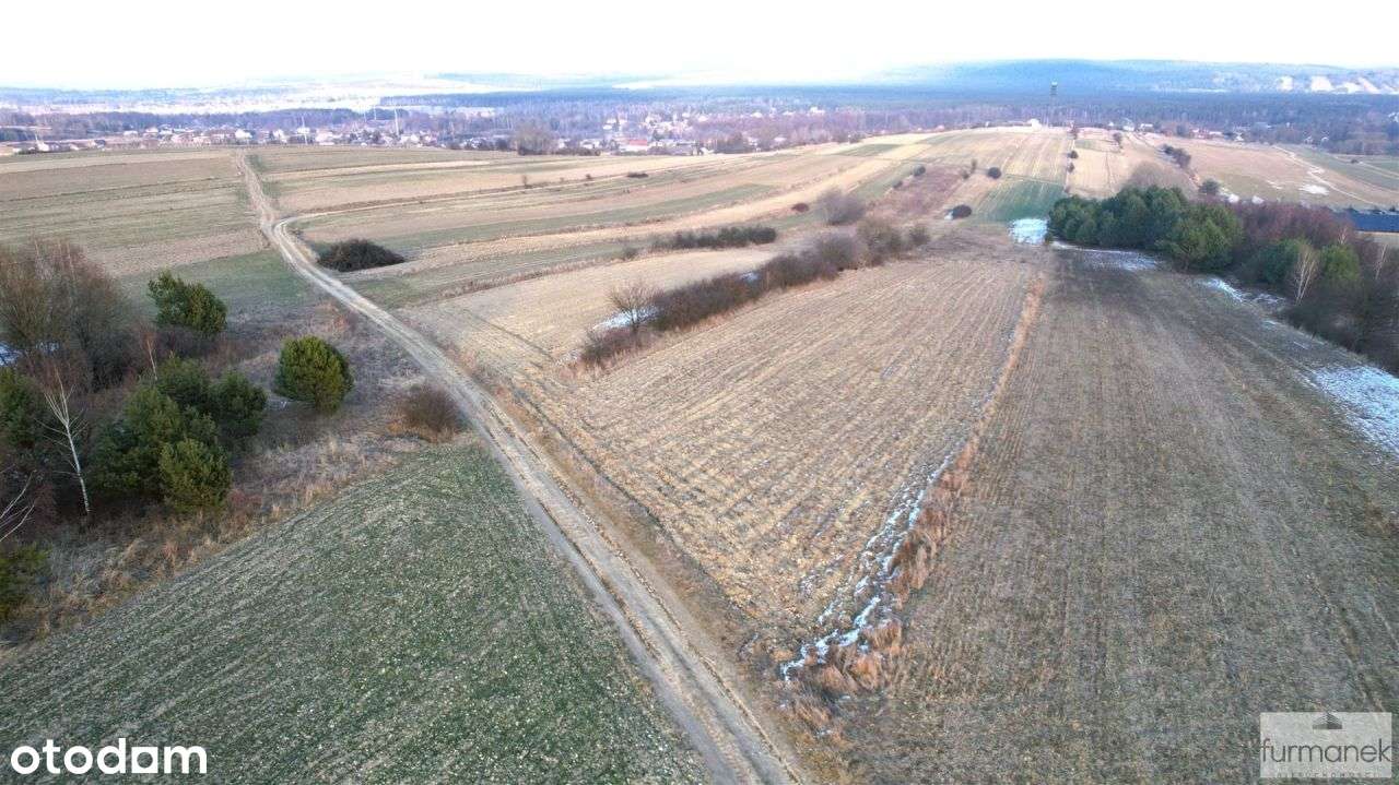 Działka rolna wśród malowniczych pól Roztocza - Pełny obrazek: 4/13