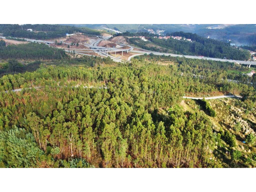 Terreno industrial em Vila Nova de Gaia - Grande imagem: 4/6