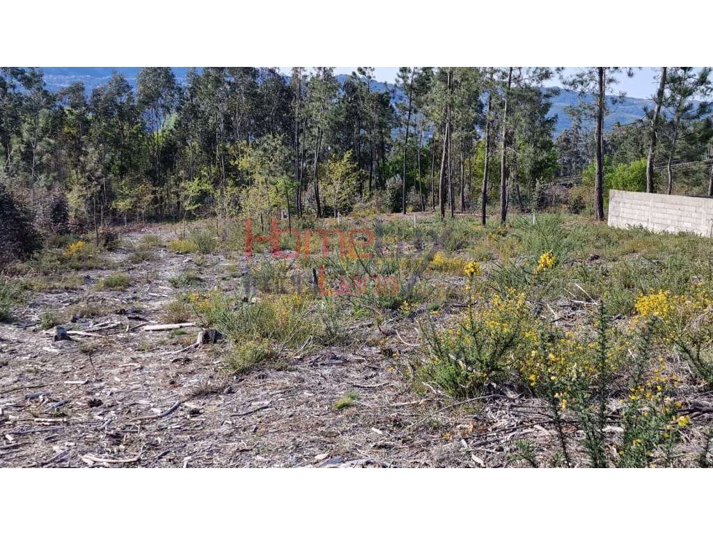 Terreno Rústico para venda em Coelhoso - Grande imagem: 5/19