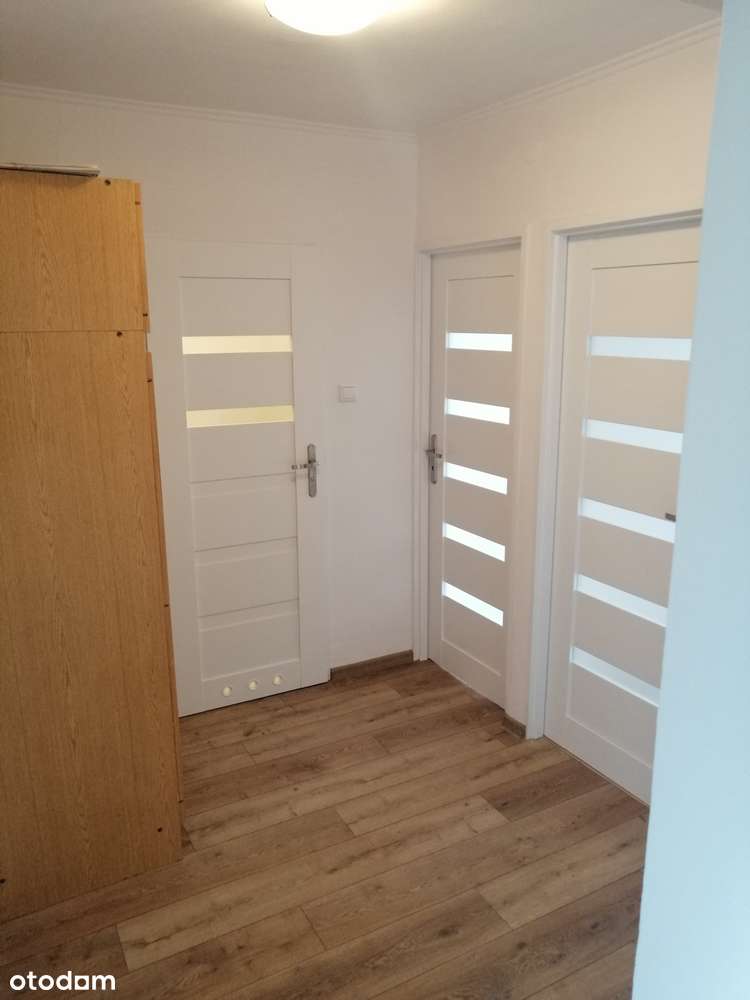 Wynajmę mieszkanie 50m2 SADYBA