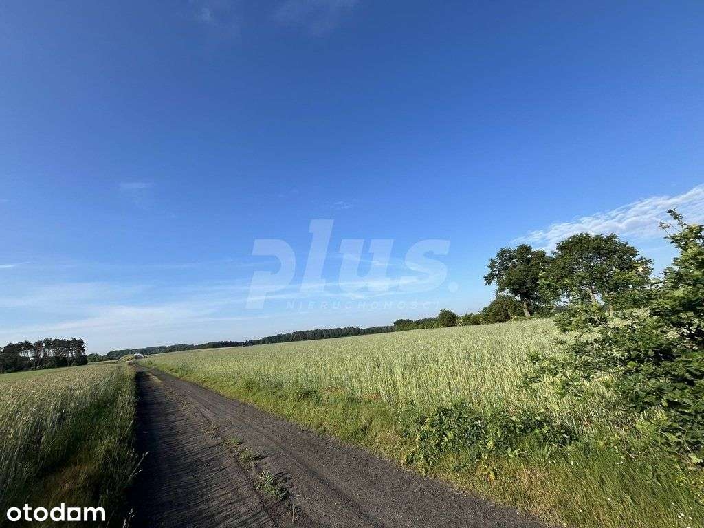 Działka przemysłowa obok S6 Szczecin - Gdańsk - Pełny obrazek: 2/4