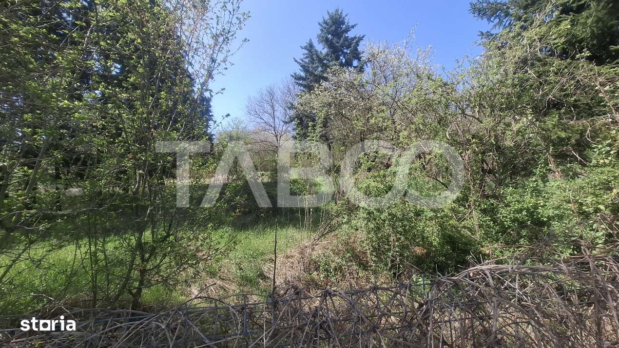 Teren intravilan de vanzare 2700 mp Slimnic Sibiu - Imagine principală: 1/3