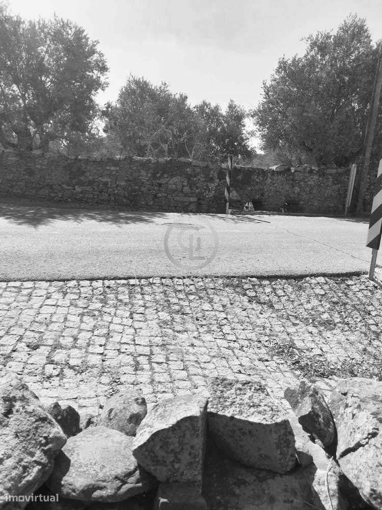 Terreno com árvores de fruto e dois poços em São Pedro de Solis – M... - Grande imagem: 5/39