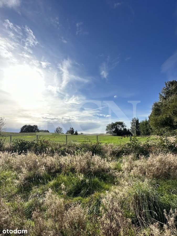 Działka "na odludziu" w miejscowości Dłużec-1